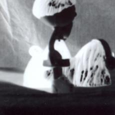 Le manège..., profil, cliché, sténopé, 1999.